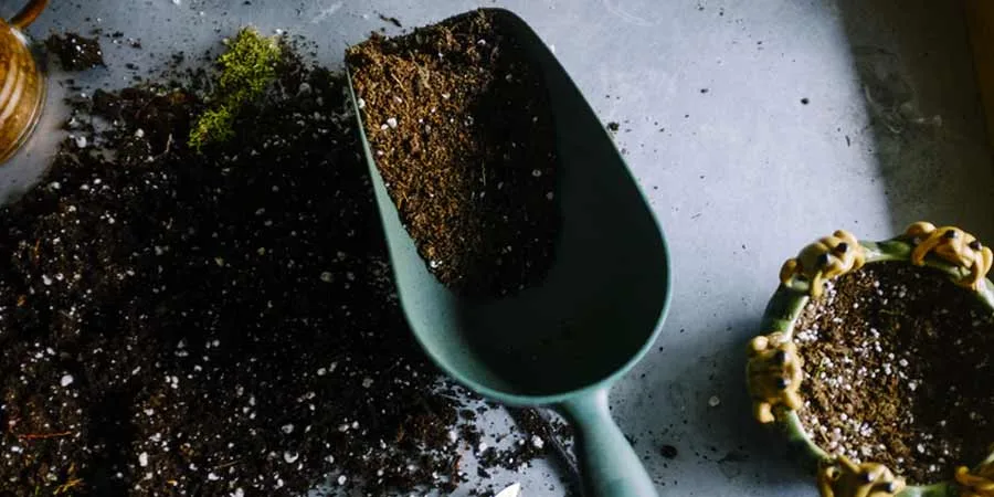 Soil type