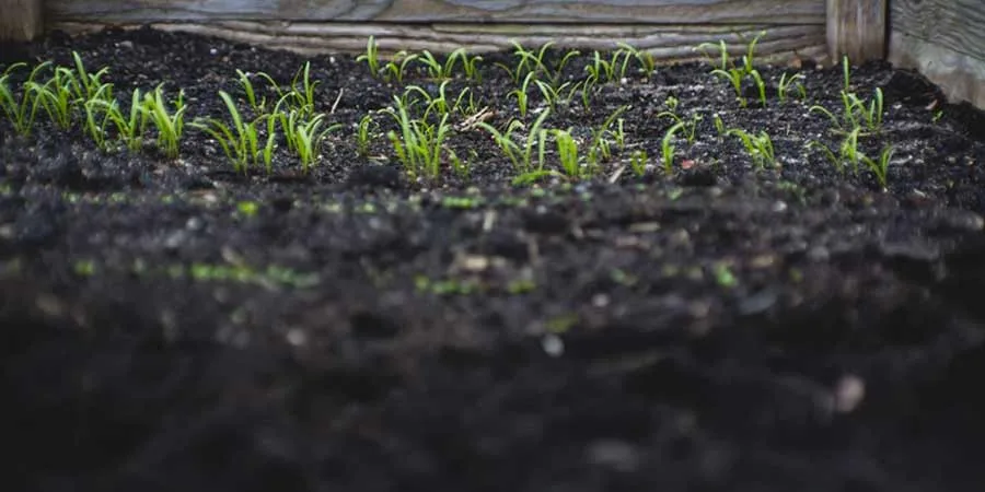 Composts