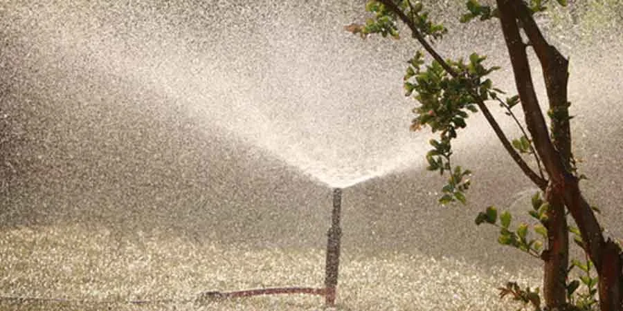 Watering Procedure