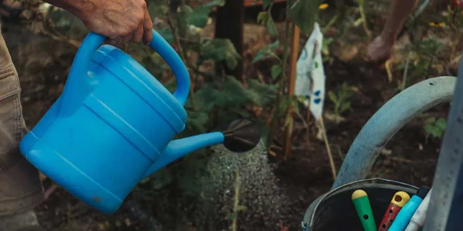 Watering Techniques