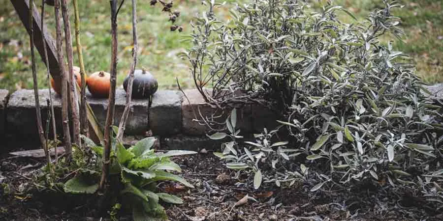 Chemical Fertilizer