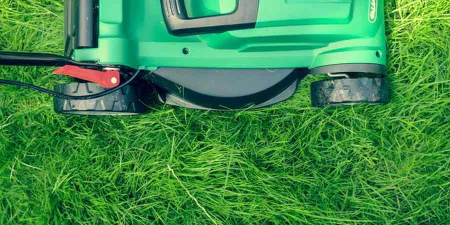Maintenance Needed For Lawns Maintenance Needed For Lawns