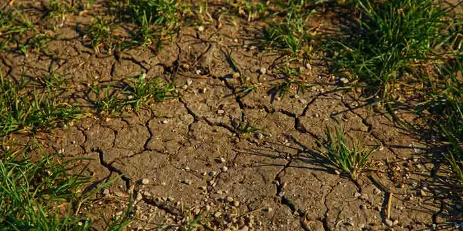 Soil preparation for grass Soil preparation for grass