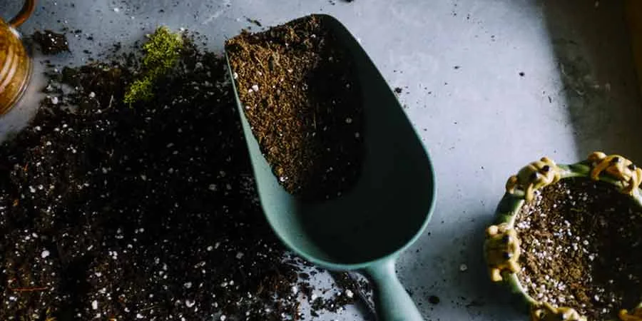Lawn soil nourishment Add More Soil to Grass