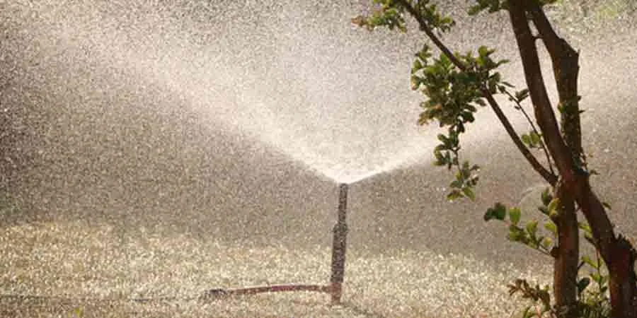After Grass Seed Plantation After Grass Seed Plantation