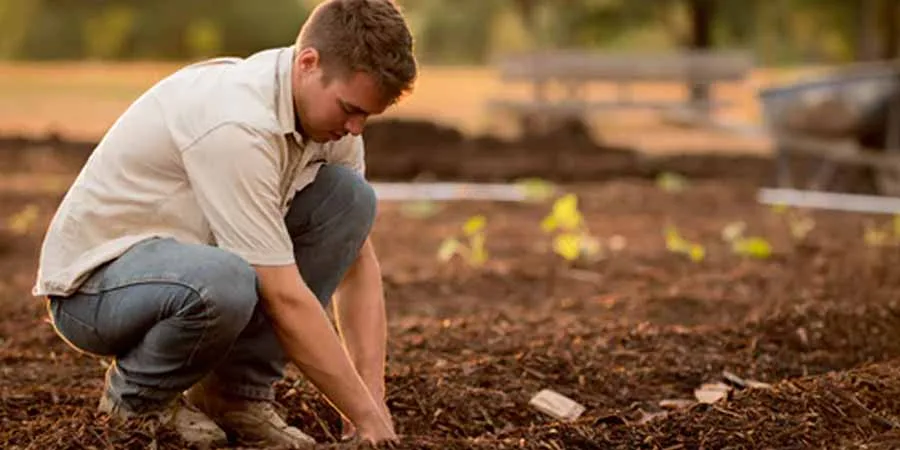 Soil testing and fixing Soil testing and fixing