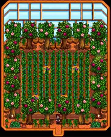 Stardew Valley Trees Stardew Valley Trees