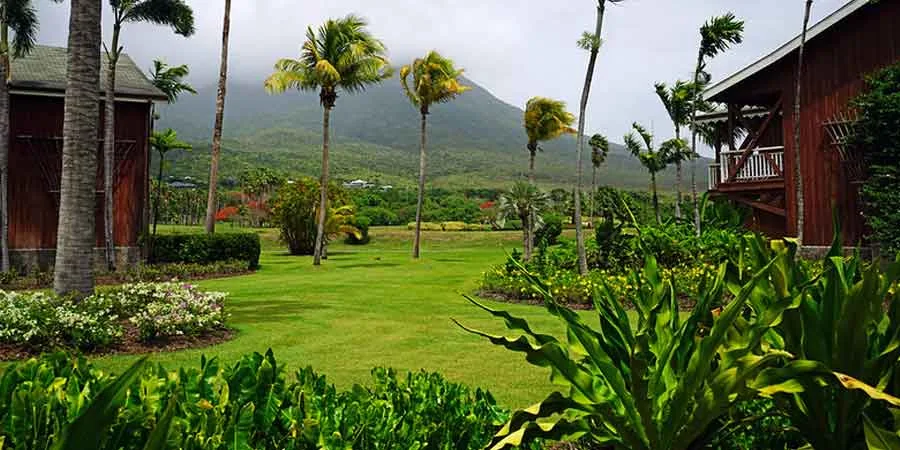 Easy Ways to Make Your Lawn Greener Easy Ways to Make Your Lawn Greener