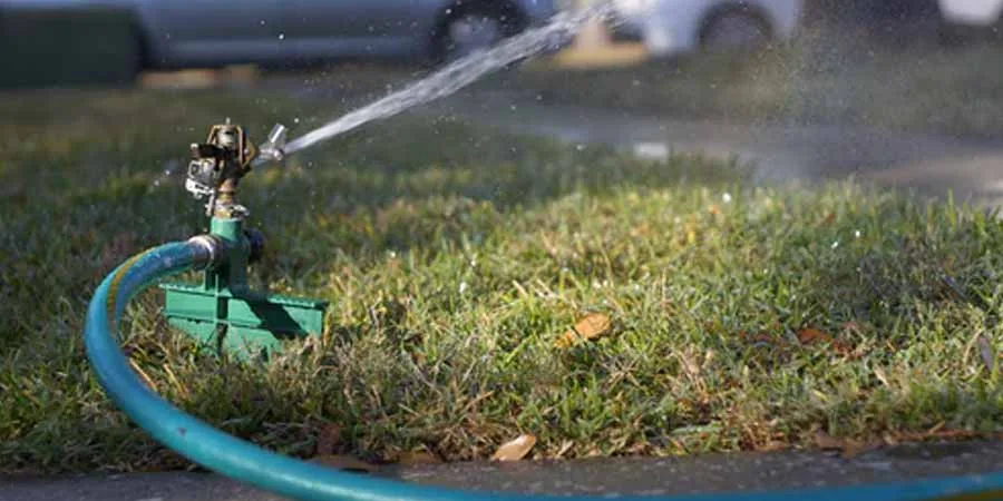 moistened and hydrated grassmoistened and hydrated grass moistened and hydrated grass
