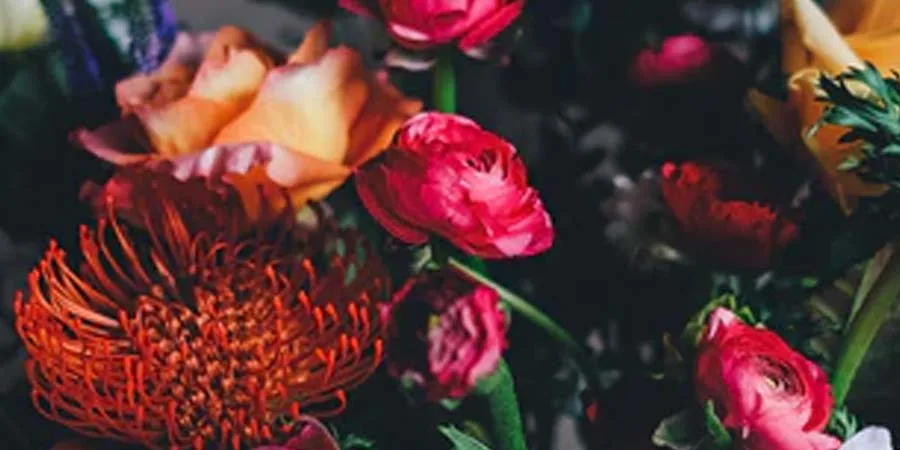 Choosing the Garden Theme 