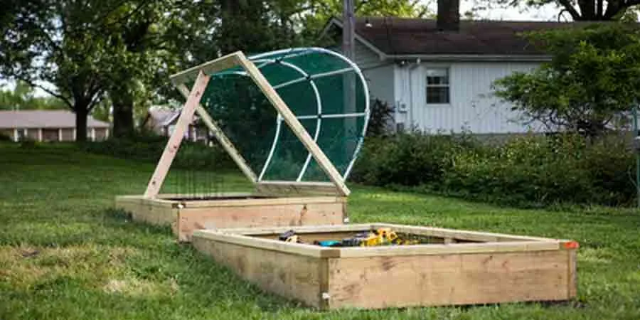 raised beds