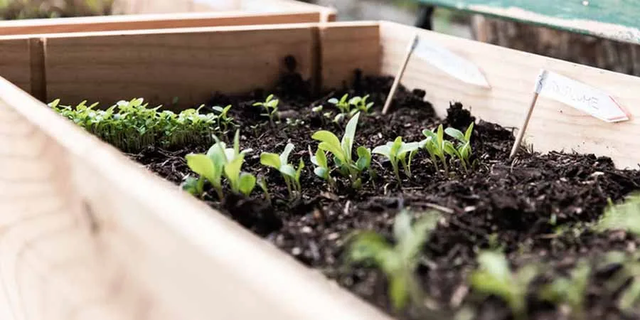 Seed starting mixtures