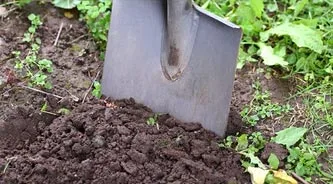 Hole digging