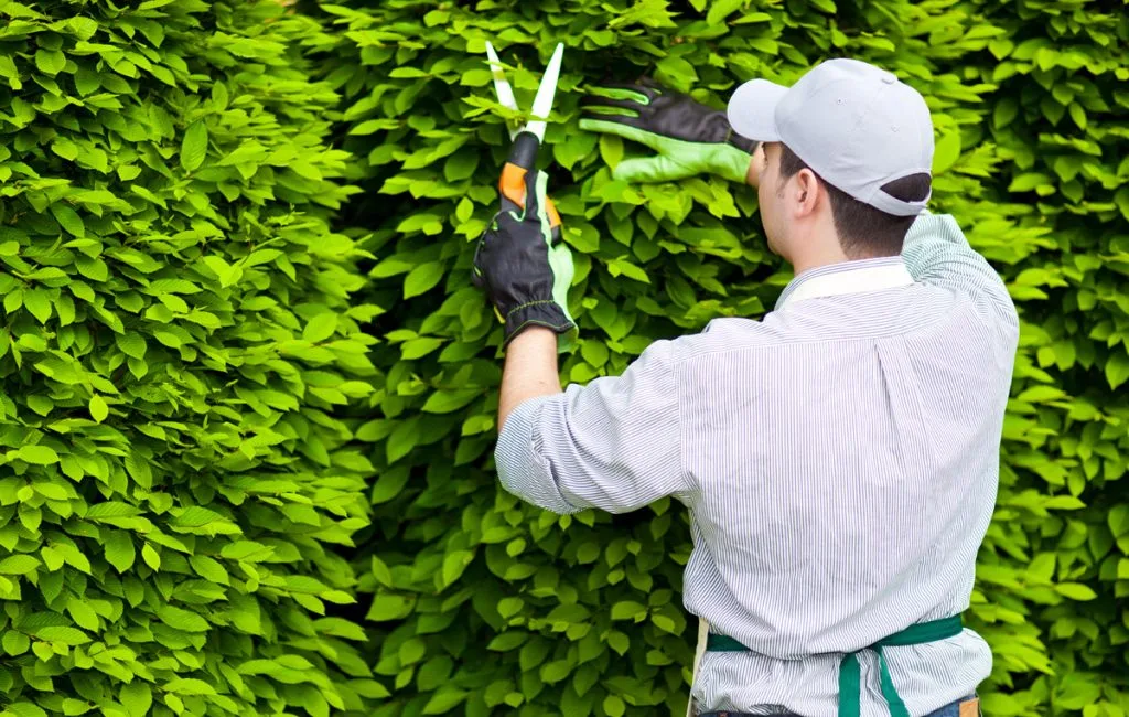 Lawn & Garden Care